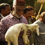 Sunil with lamb